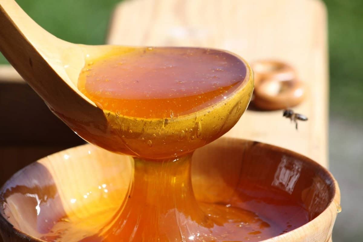 العسل الكشميري لزيادة الوزن